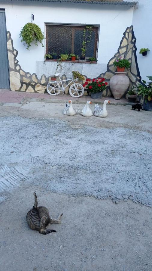 Cueva De La Abuela Villa Los Carriones Exterior photo